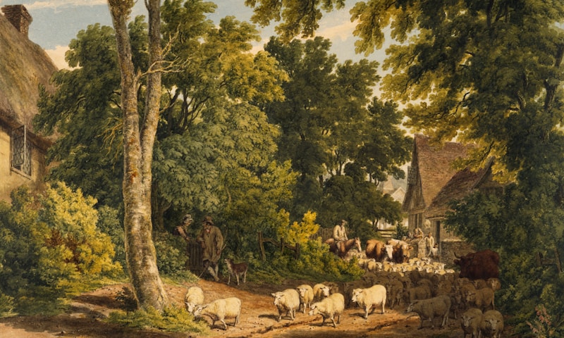 Croatia Makarska Riviera coastline